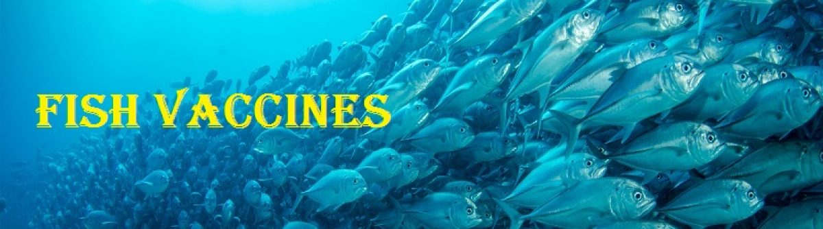 Aquaculture Vaccines Updates